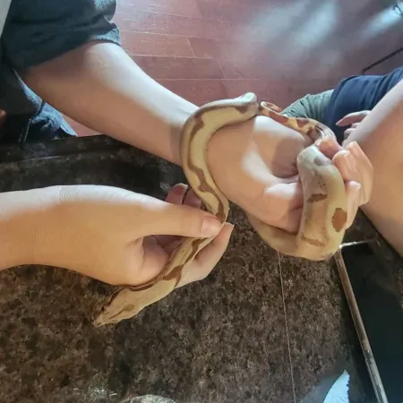 Review #167777, image #2