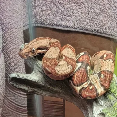 Review #167777, image #1