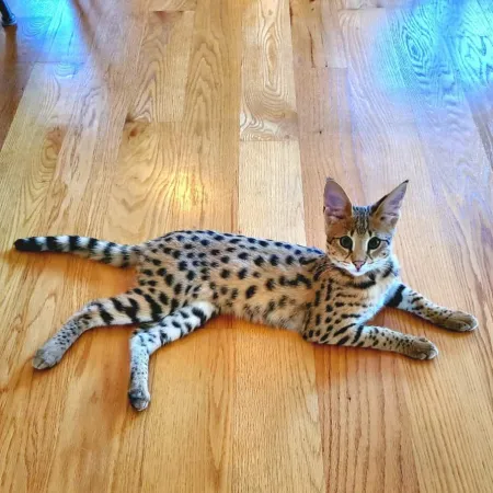 Review #168008, image #1