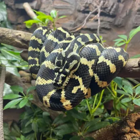 Review #168377, image #1