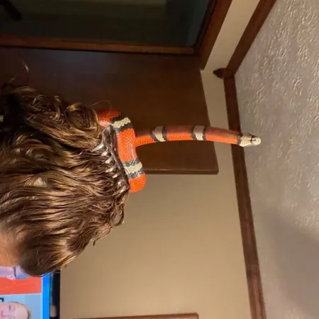 Review #168230, image #4