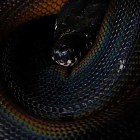 Review #168001, image #4