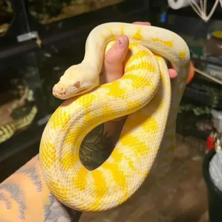 Review #168001, image #2