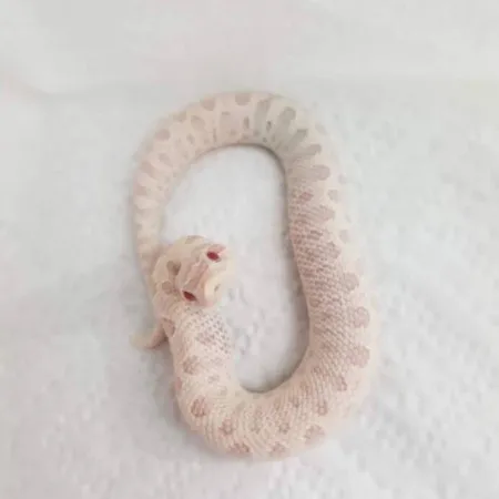 Review #169107, image #1