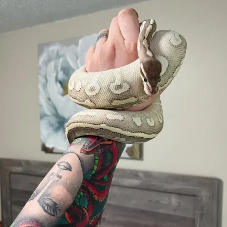 Review #169536, image #3