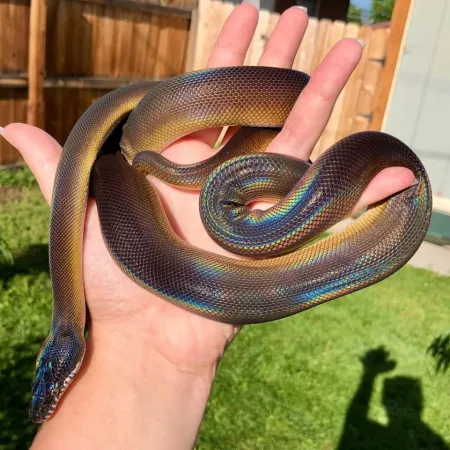 Review #169097, image #4