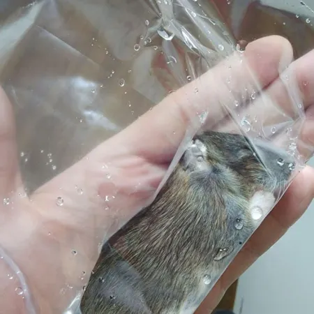 Review #168994, image #1