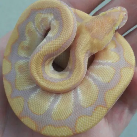 Review #169550, image #1