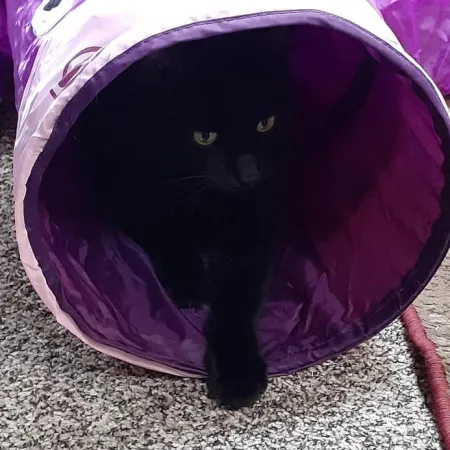 Review #168718, image #1