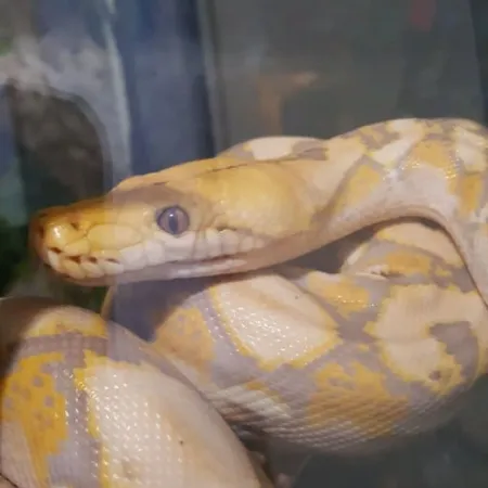 Review #168750, image #1