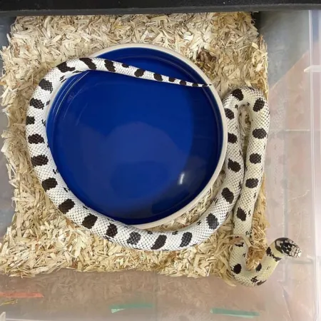 Review #169454, image #4