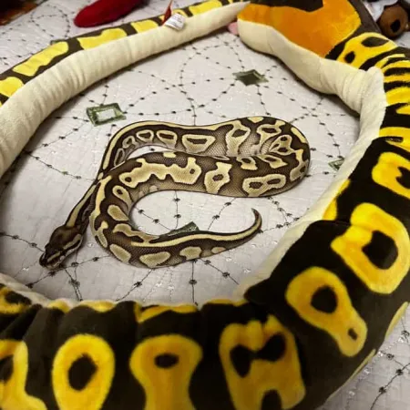 Review #169388, image #3