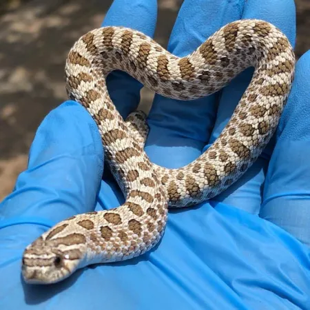 Review #169107, image #3