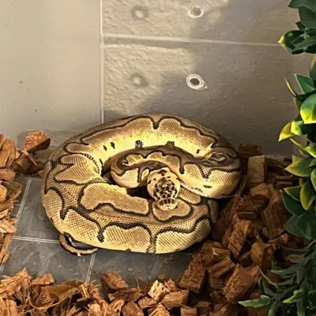 Review #169536, image #5