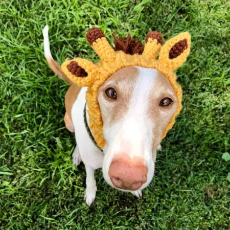 Review #169097, image #3