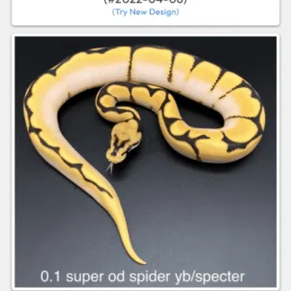 Review #169183, image #3