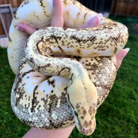 Review #169097, image #1