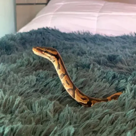 Review #169183, image #2