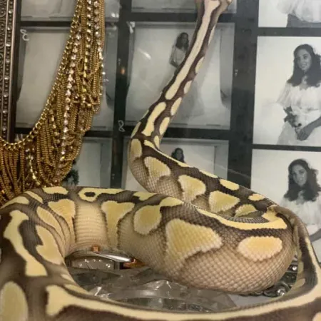 Review #169183, image #4