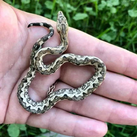 Review #169097, image #5