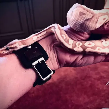 Review #169183, image #5