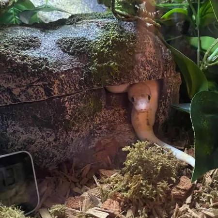 Review #168627, image #1