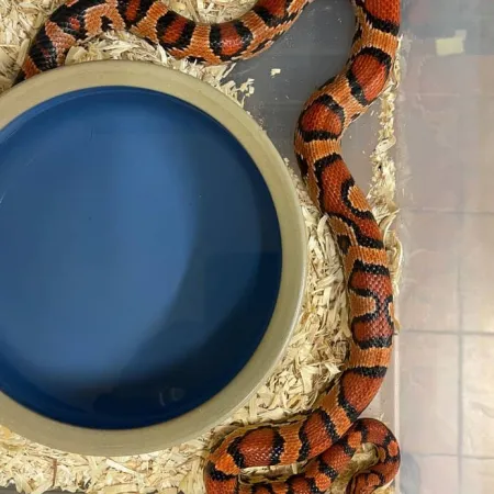 Review #169454, image #3