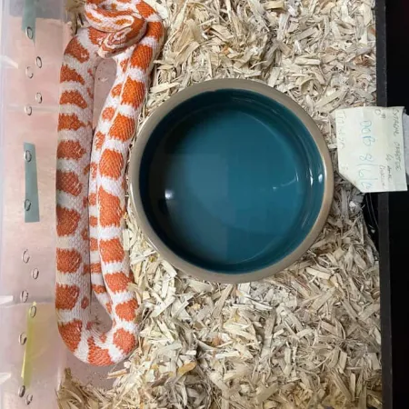 Review #169454, image #2