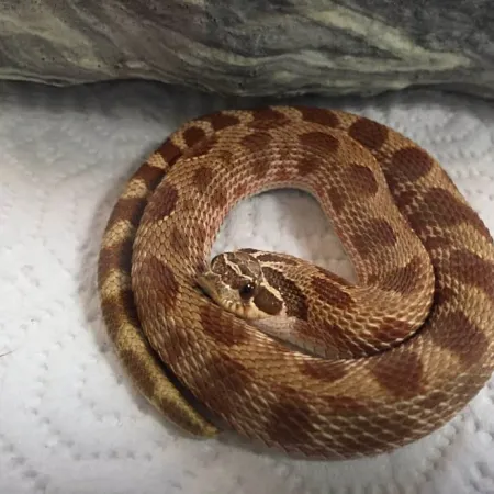 Review #169107, image #2