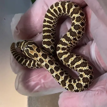 Review #169107, image #5