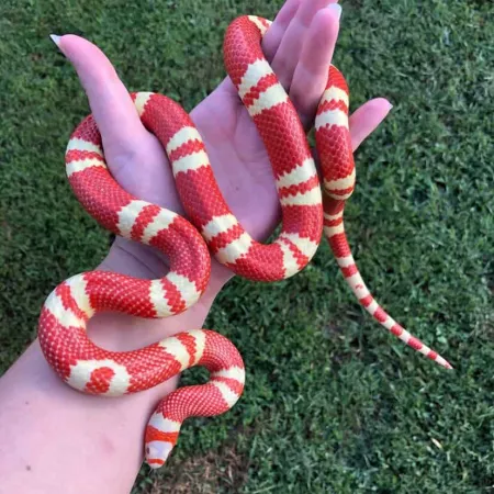 Review #169097, image #2