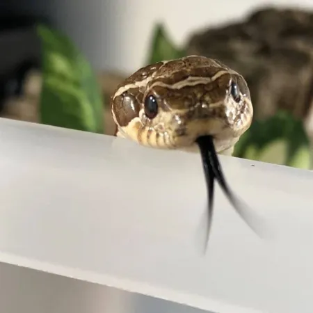 Review #169107, image #4