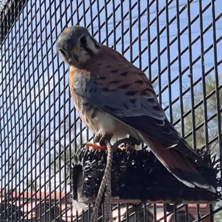 Review #168714, image #2