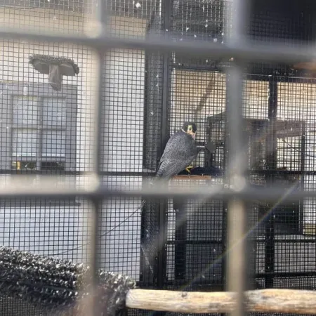 Review #168714, image #1