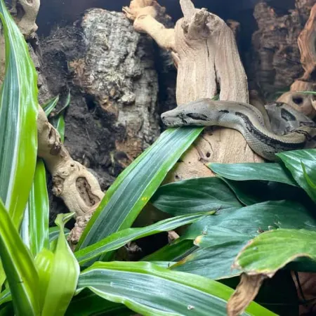 Review #170106, image #1