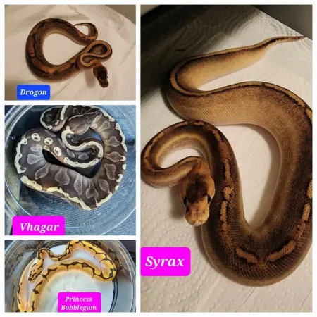 Review #169656, image #1