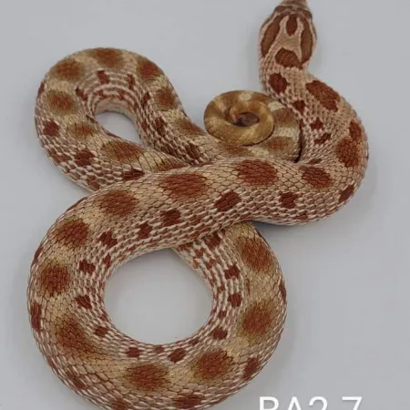 Review #169677, image #1