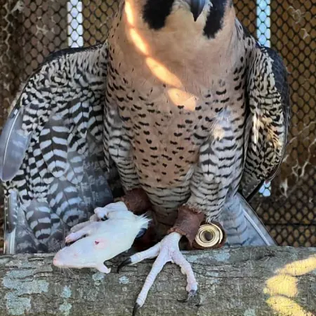 Review #170708, image #1