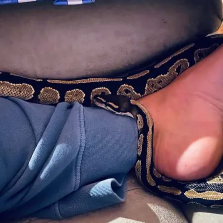 Review #171106, image #1