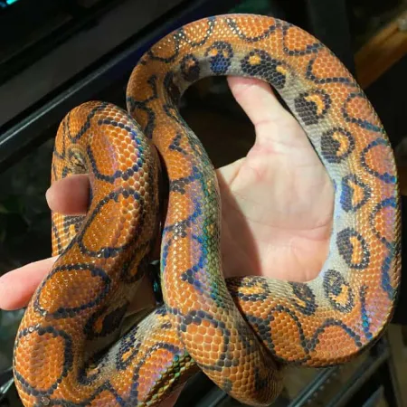 Review #171106, image #5