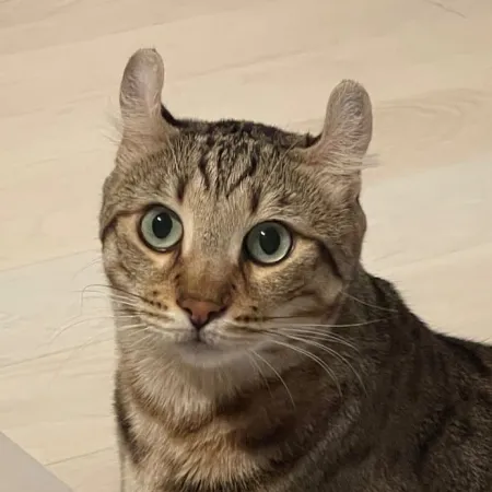 Review #170994, image #1