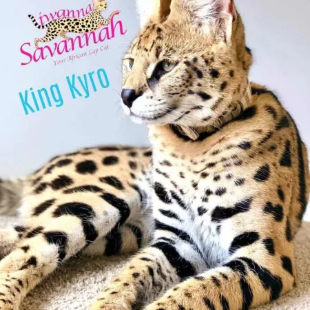 Review #170983, image #2