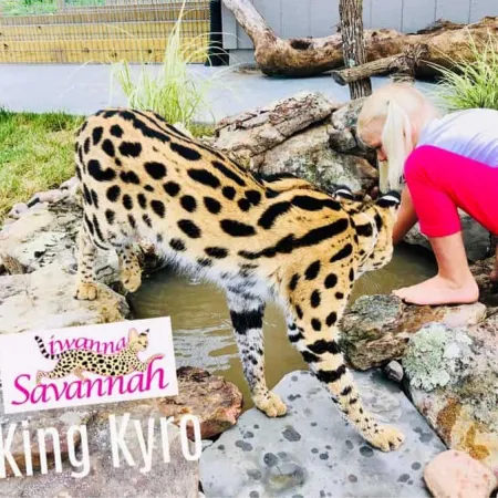 Review #170983, image #1