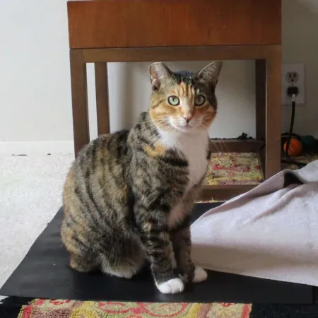 Review #170931, image #2