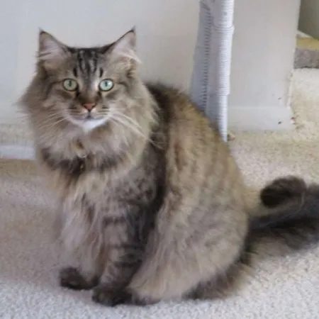 Review #170931, image #1