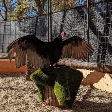 Review #170838, image #1