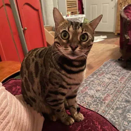 Review #171587, image #1