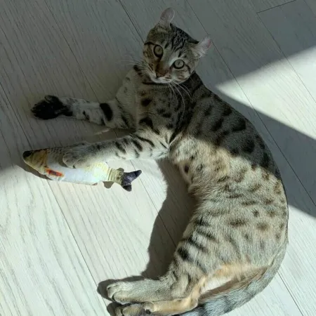 Review #172014, image #1