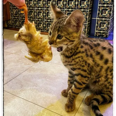 Review #172191, image #1