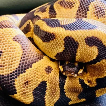 Review #172415, image #2